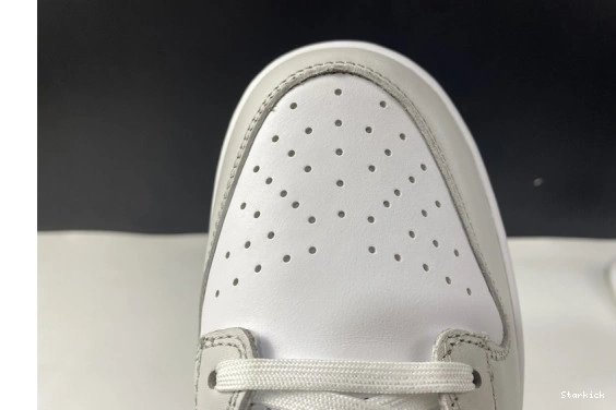 DD1503-103 "Photon Low Nike Dust" Dunk 0115